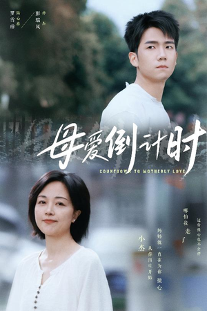 母爱倒计时（30集） 评价怎么样