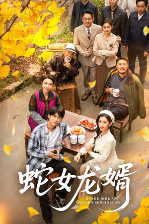 不负韶华不负卿（52集） 最新上映免费看