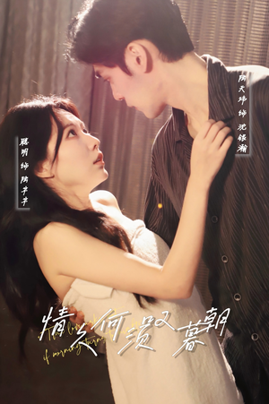 情久何须叹暮朝（61集） 精彩短剧热播