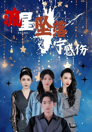 流星坠落宁感伤（82集） 直接追到结尾