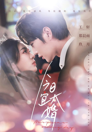今日宜大婚（59集） 全集一次看完