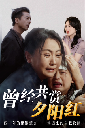 曾经共赏夕阳红 番茄短剧免费看