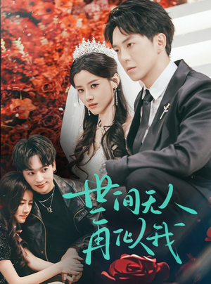 世间无人再似我（32集） 高清画质免费看