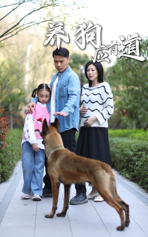 养狗应有道（60集）排行榜前十短剧