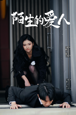 陌生的爱人（60集）1-102集