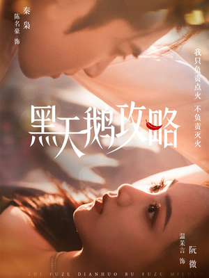黑天鹅攻略（65集）免费版