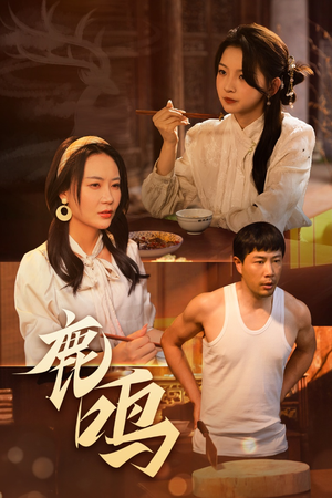 鹿鸣（40集）全集