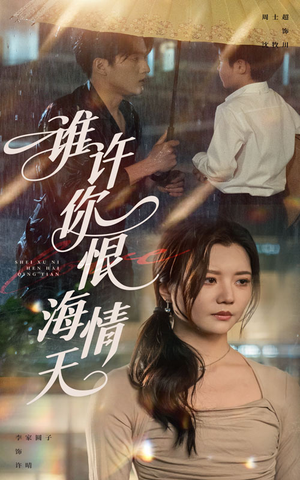 谁许你恨海情天（50集）热门短剧追到爽