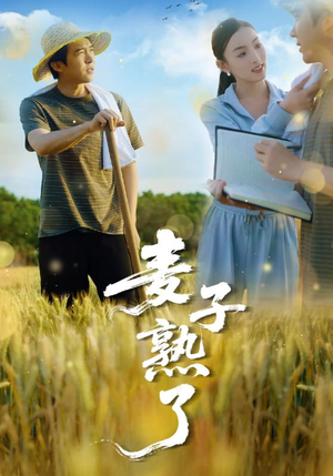 麦子熟了（52集）红果免费短剧