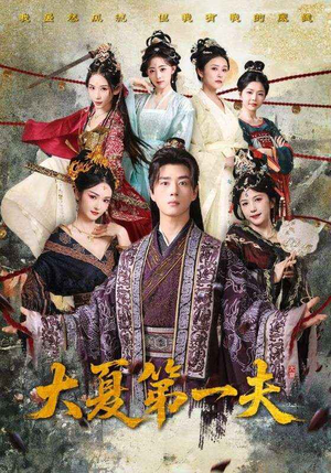 大夏第一夫（90集）高清无码免费看