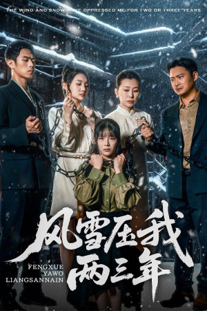 风雪压我两三年（50集）无需会员免费看
