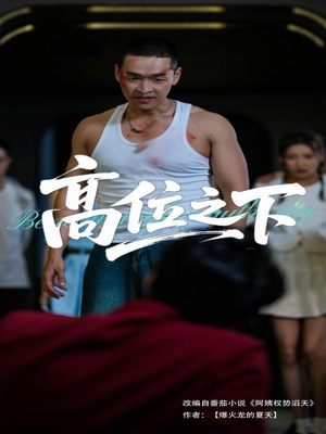 高位之下（65集）短视频追剧推荐