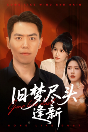 旧梦尽头逢新（46集）演的怎么样