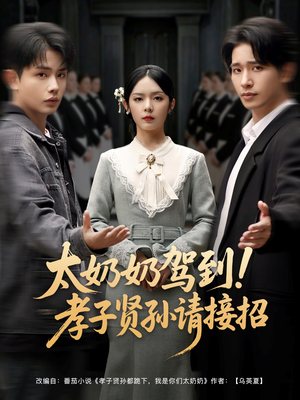 太奶奶驾到！孝子贤孙请接招（90集）经典老剧免费看
