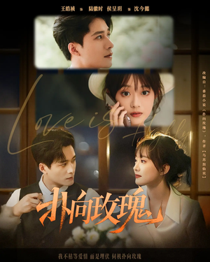 扑向玫瑰（77集）短剧免费观看