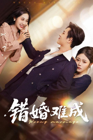 错婚难成（45集）热播短剧推荐
