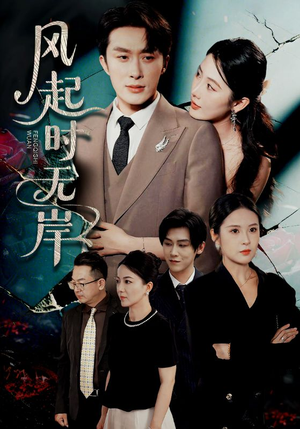 风起时无岸（58集）完整版免费观看