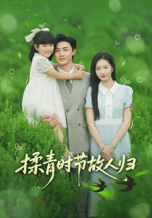 揉青时节故人归（60集）看到了大结局
