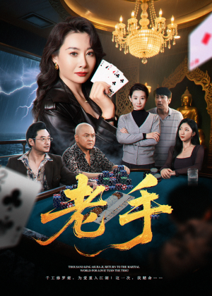 老手（36集）全集下载