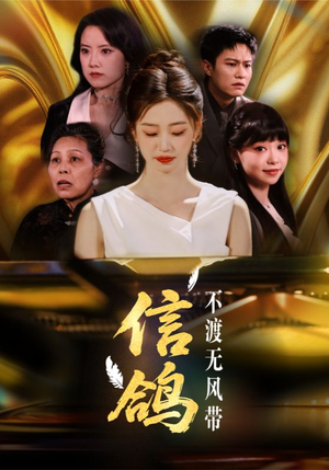 信鸽不渡无风带（65集）最火的短剧