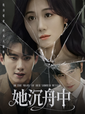 她沉舟中（71集）在线看到大结局