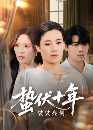 蛰伏十年婆婆亮剑（45集）在哪个平台能看