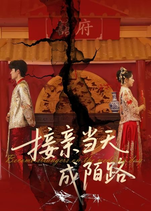 接亲当天成陌路（50集）直接看到大结局