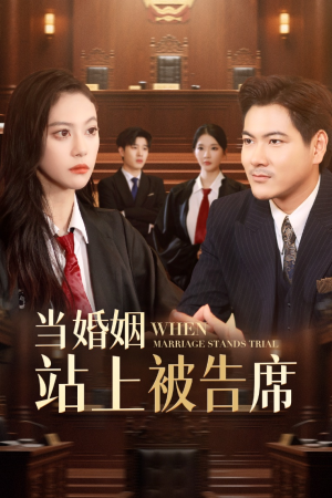 当婚姻站上被告席（30集）火爆短剧抢先看
