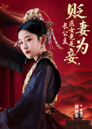 贬妻为妾医女竟是长公主（80集）免费看全网短剧