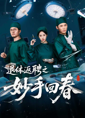 退休返聘之妙手回春（60集）网盘在线观看