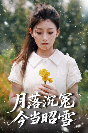 月落沉冤今当昭雪（60集）爆款热门短剧