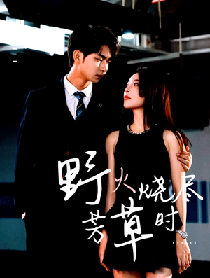 野火烧尽芳草时（65集）无需会员轻松看