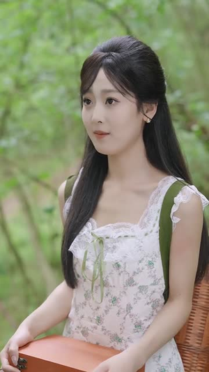 乡村小圣医 (80集)短剧精彩绝伦