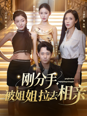 刚分手被姐姐拉去相亲&分手被姐姐拉去相亲（73集）短剧全集抢先看