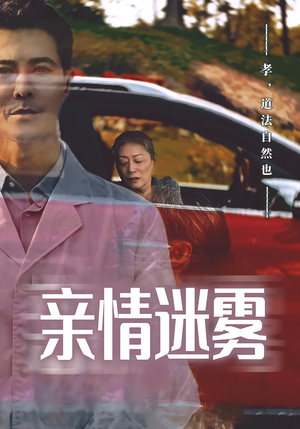 亲情迷雾（30集）短剧精彩绝伦