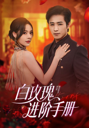 白玫瑰进阶手册（64集）精彩短剧又来了