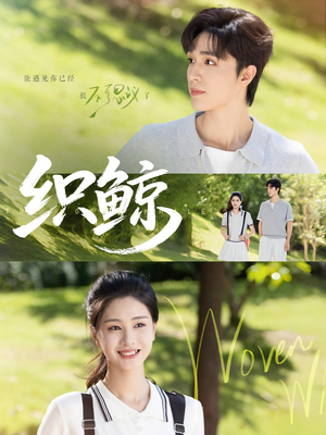 织鲸（86集）短剧追不停