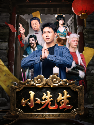 小先生（79集）免费版