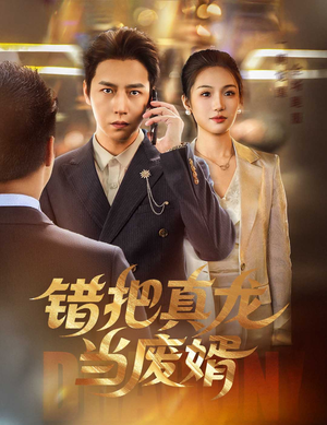 错把真龙当废婿（60集）在线观看完整版