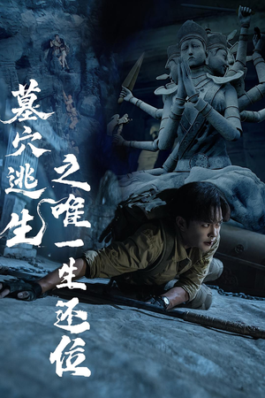 墓穴逃生之唯一生还位（70集）热门短剧看不停