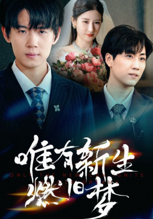 唯有新生燃旧梦（55集）免费看短剧全集
