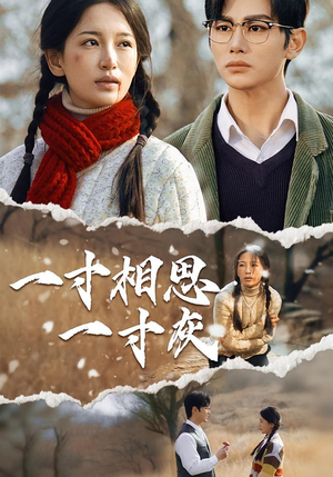 一寸相思一寸灰（43集）海量短剧免费看
