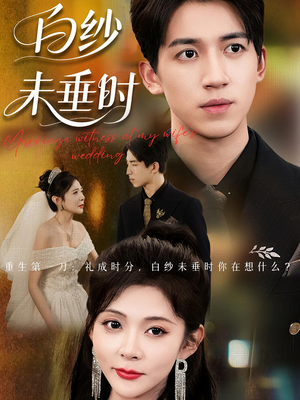老婆婚礼，我当证婚人&老婆婚礼我当证婚人&白纱未垂时（54集）完整版