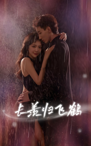 长羡归飞鹤 (70集)女主角是谁