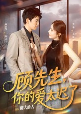 顾先生你的爱太迟了（60集）简直不要太好看