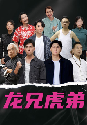 龙兄虎弟中文版（60集）高清画质免费看