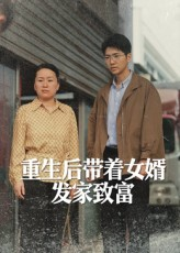 重生后带着女婿发家致富（41集）80到100集