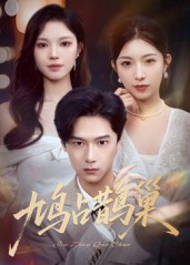鸠占鹊巢&顶流夫人的致命陷阱（70集）百度在线观看