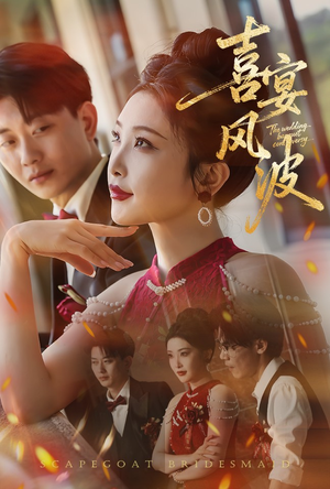 喜宴风波&替罪伴娘（30集）免费在线看