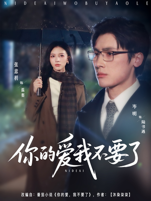 你的爱我不要了（64集）免费观看全集